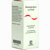 Rhododendron Cp Fluid Liquidum 50 ml - ab 0,00 €