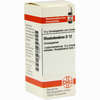 Rhododendron D12 Globuli 10 g - ab 7,55 €