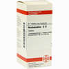 Rhododendron D12 Tabletten 80 Stück - ab 8,69 €