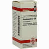 Rhododendron D6 Globuli 10 g - ab 7,55 €