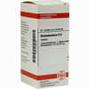 Rhododendron D6 Tabletten 80 Stück - ab 10,45 €