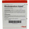 Rhododendron- Injeel Ampullen  10 Stück - ab 15,27 €