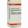 Rhus Toxicodendron C15 Tabletten 80 Stück - ab 7,00 €