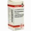 Rhus Toxicodendron C4 Globuli 10 g - ab 7,46 €