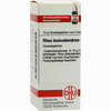 Rhus Toxicodendron C6 Globuli 10 g - ab 6,98 €