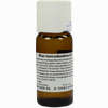 Rhus Toxicodendron D3 Dilution 50 ml - ab 0,00 €