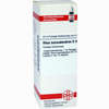 Rhus Toxicodendron D30 Dilution 20 ml - ab 8,23 €
