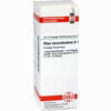 Rhus Toxicodendron D4 Dilution DHU-Arzneimittel 20 ml - ab 7,84 €