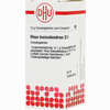 Rhus Toxicodendron D6 Globuli DHU-Arzneimittel GmbH & Co. KG 10 g - ab 6,96 €