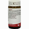 Rhus Toxicodendron E Foliis D12 Globuli 20 g - ab 7,50 €