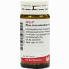 Rhus Toxicodendron E Foliis D6 Globuli 20 g - ab 7,18 €