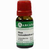 Rhus Toxicodendron Lm 18 10 ml - ab 10,28 €