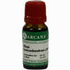 Rhus Toxicodendron Lm 6 10 ml - ab 9,42 €