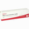 Rhus Toxicodendron Salbe  30 g - ab 5,79 €