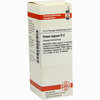 Ribes Nigrum D2 Dilution 20 ml - ab 8,88 €