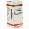 Robinia Pseud D12 Tabletten 80 Stück - ab 8,69 €