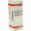 Robinia Pseud D4 Dilution 20 ml - ab 8,69 €