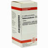 Robinia Pseud D6 Tabletten 80 Stück - ab 8,69 €