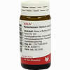 Roseneisen Globuli Velati  20 g - ab 7,46 €