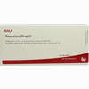 Roseneisen/graphit Ampullen 10 x 1 ml - ab 19,25 €