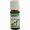 Rosmarin- Öl Bergland  10 ml - ab 6,49 €