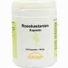 Rosskastanien Kapseln  120 Stück - ab 12,41 €