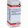 Sabal Serrulatum C30 Globuli  10 g - ab 7,84 €