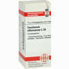 Saccharum Officinarum C30 Globuli  10 g - ab 7,32 €