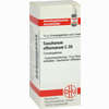 Saccharum Officinarum C30 Globuli  10 g - ab 10,71 €