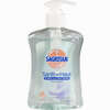 Sagrotan Arztseife zur Handhygiene Flüssigseife 250 ml - ab 2,61 €