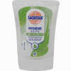 Sagrotan No- Touch Nachfüller Aloe Vera Flüssigseife 250 ml - ab 2,40 €