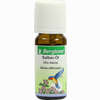 Salbei- Öl Bergland  10 ml - ab 7,94 €