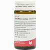 Salix/rhus Comp Globuli 20 g - ab 7,18 €