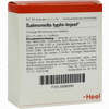 Salmonella Typhi- Injeel Ampullen  10 Stück - ab 16,19 €