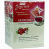 Salus Erdbeeren Früchte-cocktail Tee 15 x 2 g - ab 3,18 €