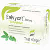 Salvysat 300 Mg Filmtabletten  30 Stück - ab 8,56 €
