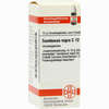 Sambucus Nigra C12 Globuli 10 g - ab 7,55 €