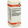 Sambucus Nigra D10 Globuli 10 g - ab 8,94 €