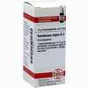 Sambucus Nigra D2 Globuli 10 g - ab 7,90 €