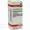 Sambucus Nigra D4 Globuli 10 g - ab 7,55 €