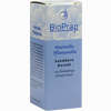 Sanddorn - Kernöl Öl 20 ml - ab 10,24 €