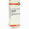 Sanguisorba Off. Urtinktur Dilution 20 ml - ab 13,60 €