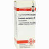 Sanicula Europ D12 Globuli 10 g - ab 9,63 €