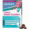 Sanotact Cistus Infekt Pastillen 30 Stück - ab 9,34 €