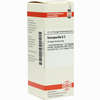 Sarsaparilla D2 Dilution 20 ml - ab 0,00 €