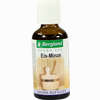 Sauna- Aufguss Eis- Minze Konzentrat 50 ml - ab 4,77 €