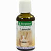 Sauna- Aufguss Lavendel Konzentrat 50 ml - ab 5,12 €