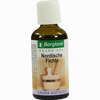 Sauna- Aufguss Nordische Fichte Konzentrat 50 ml - ab 4,79 €
