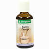 Sauna- Aufguss Sunny Orange Konzentrat 50 ml - ab 4,89 €