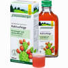 Schoenenberger Kaktusfeige Bio Saft 200 ml - ab 5,27 €